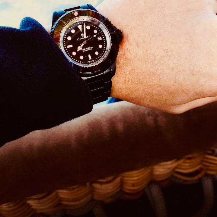 Steinhart Ocean Main References Price Real Owners Reviews Dialicious