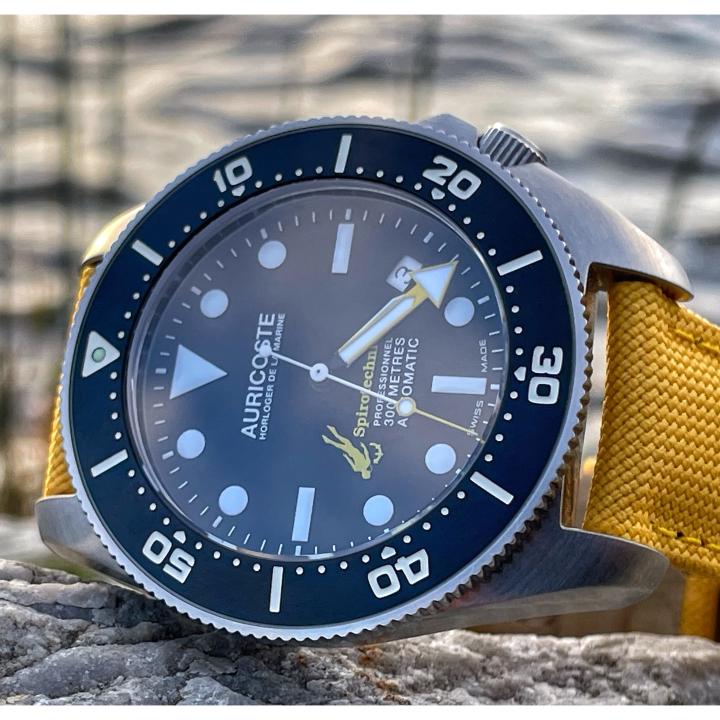 Auricoste Spirotechnique Références Principales, Prix Avis d - Main Image